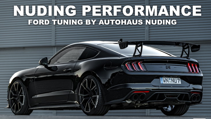 Nuding Performance